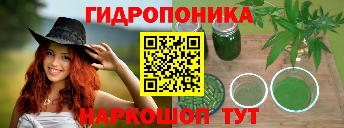 Марихуана планчик  Вход с VPN  Конопля планчик  Шатура 